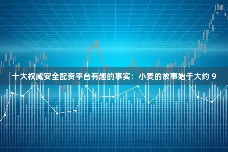 十大权威安全配资平台有趣的事实：小麦的故事始于大约 9