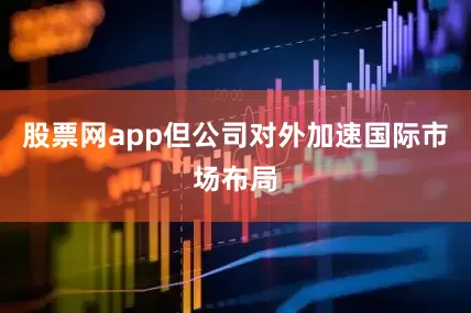 股票网app但公司对外加速国际市场布局