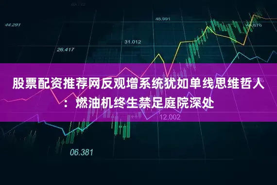 股票配资推荐网反观增系统犹如单线思维哲人：燃油机终生禁足庭院深处
