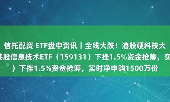 信托配资 ETF盘中资讯｜全线大跌！港股硬科技大涨后猛回调，唯一港股信息技术ETF（159131）下挫1.5%资金抢筹，实时净申购1500万份