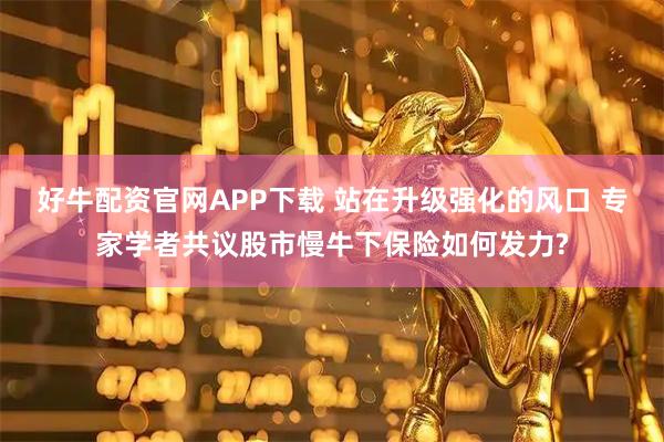 好牛配资官网APP下载 站在升级强化的风口 专家学者共议股市慢牛下保险如何发力?